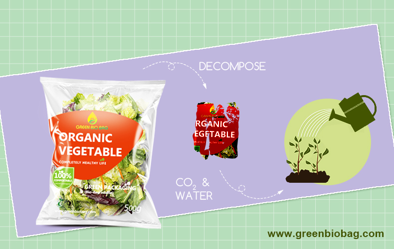 sac &agrave; salade compostable