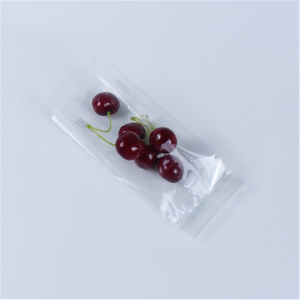 Compostable PLA Emballage PLA Clear Sacs avec GUSSET