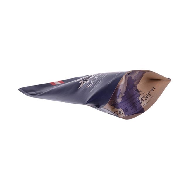 Sac à café compostable 250g sac debout en papier kraft avec fermeture à glissière