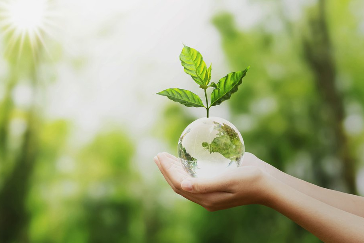 Que pouvons-nous faire pour prot&eacute;ger l'environnement?