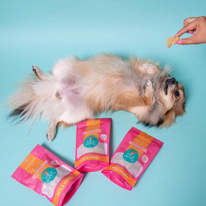 Impression numérique 100% biodégradable tiennent les sacs de nourriture pour chiens avec fenêtre givrée