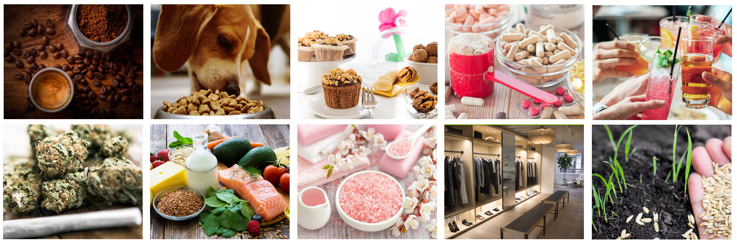 Stand up poches pour les graines