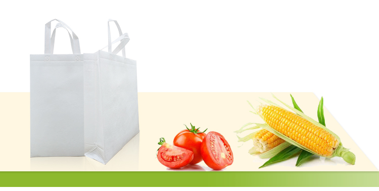 Sac non tiss&eacute; soluble dans l'eau