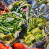 Vide de qualité alimentaire à la maison compostable Finition complète Finition biodégradable Sacs ziplock