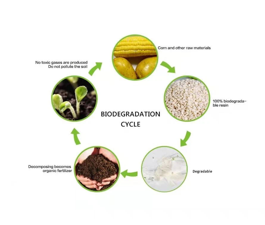 Emballage d'usine pour la nourriture