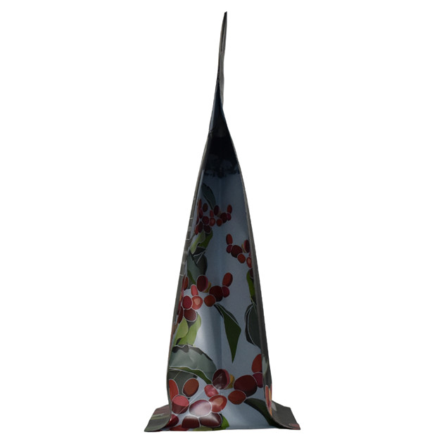 Sac en papier Kraft imprimé en gros de l'éco-aminé de l'éco avec entaille de larmes