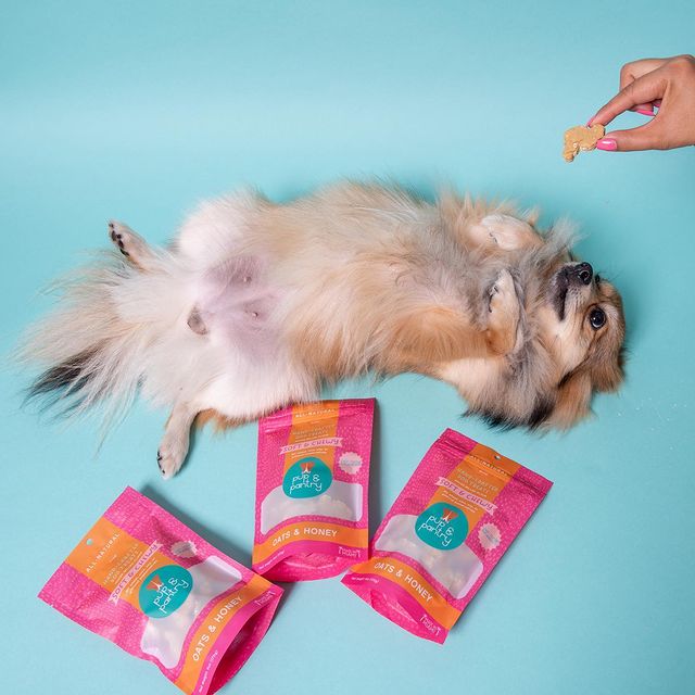 SANDITIF COMPOSTABLE INDUSTRIABLE 100% Biod&eacute;gradable Pays d'animaux de compagnie pour animaux de compagnie